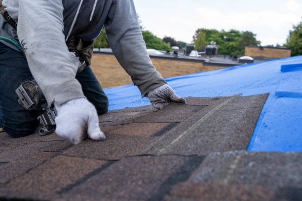 Professional Roofing Contractor in Cloverleaf, TX